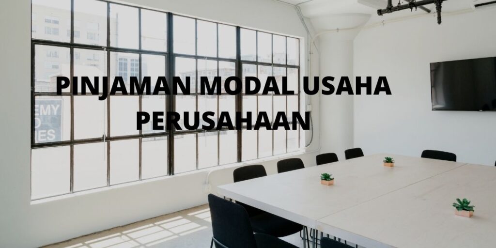 Pinjaman Modal Usaha
