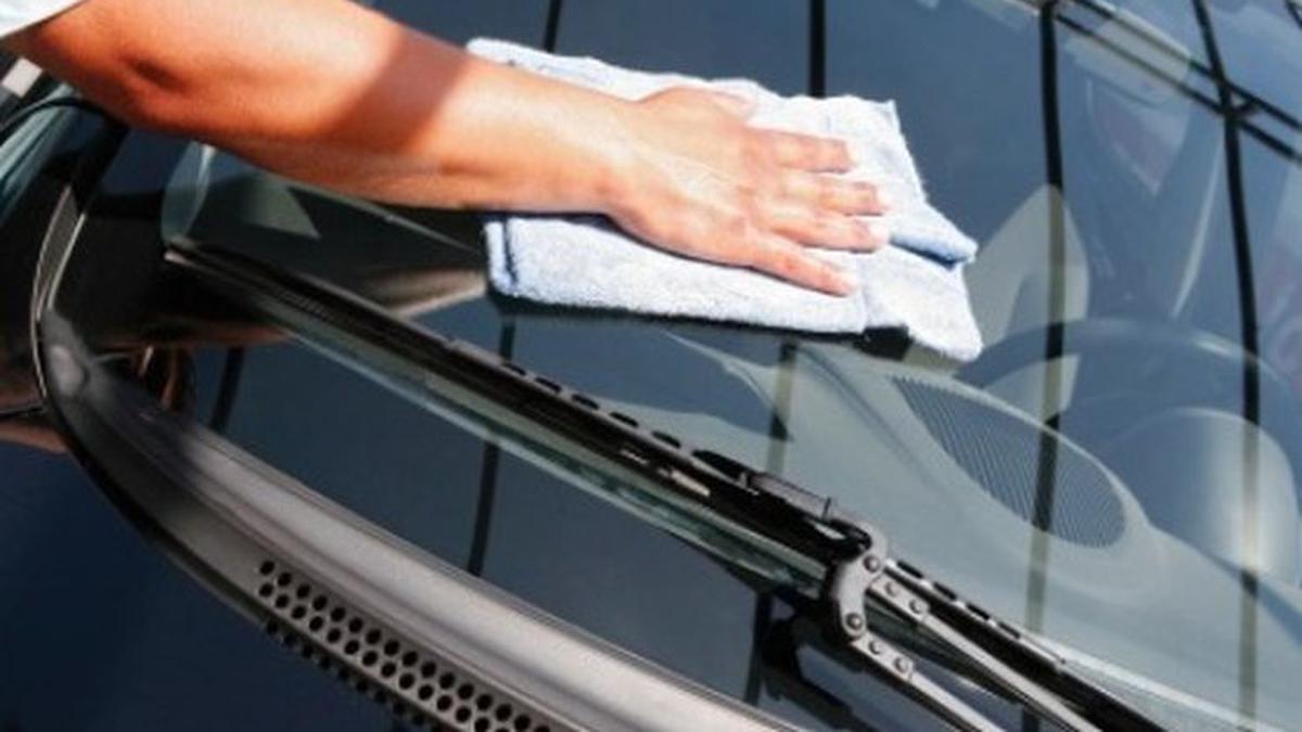 Cara Efektif Menghilangkan Jamur di Kaca Mobil