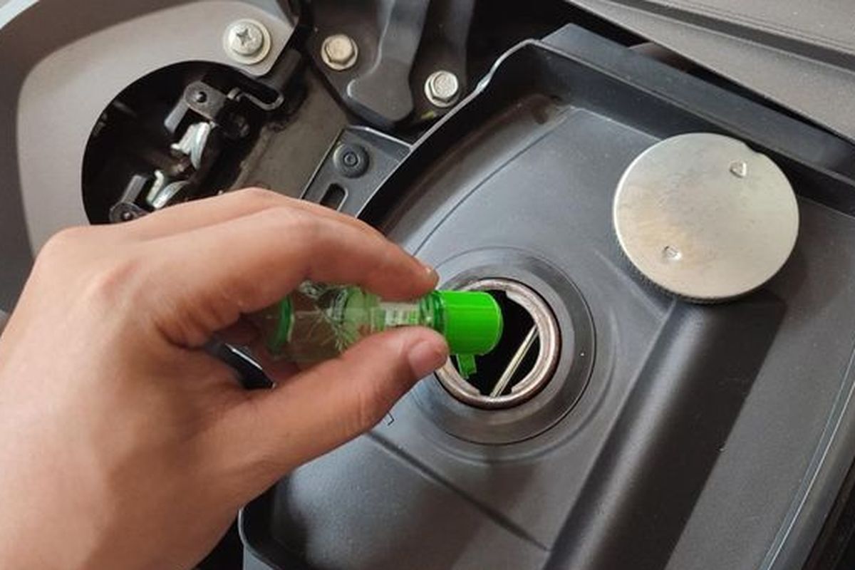 Kayu Putih Bisa Bikin Irit BBM